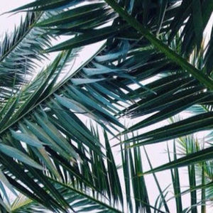 Meet your Posher, Iman